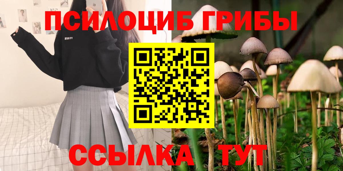 Солнечногорск  Псилоцибиновые грибы ЛСД  Галлюциногенные грибы Psilocybine cubensis  Вход с VPN 