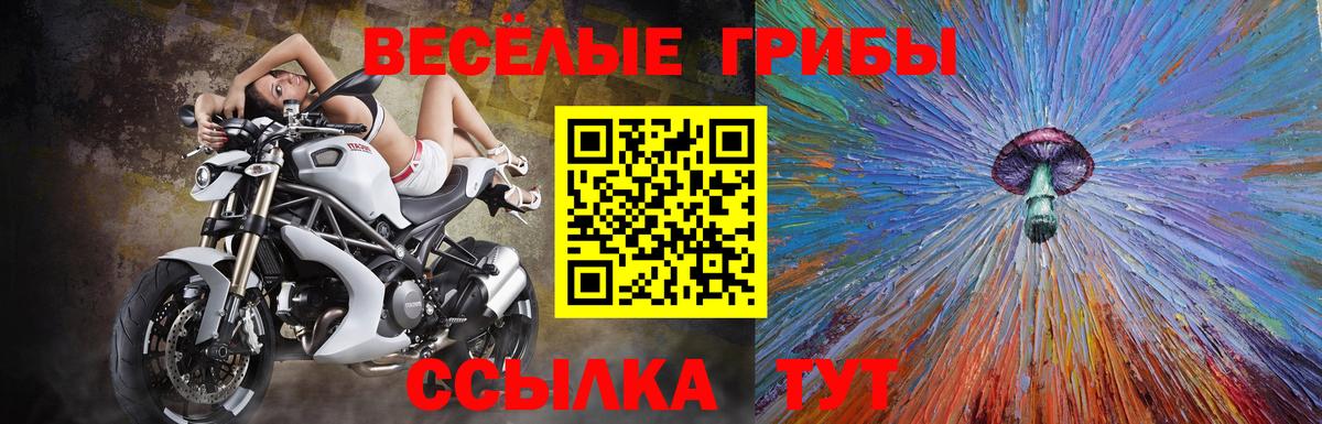 Псилоцибиновые грибы ЛСД Солнечногорск
